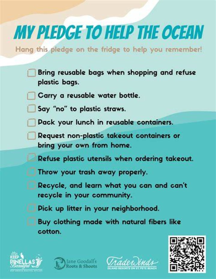 Is Pledge safe for plastic?