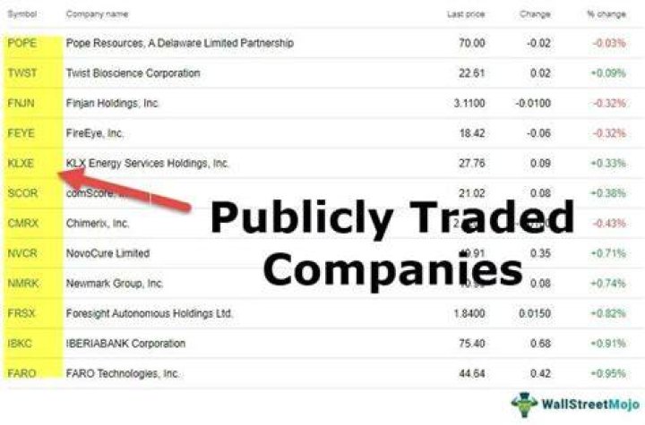 Is Polaroid a publicly traded company?