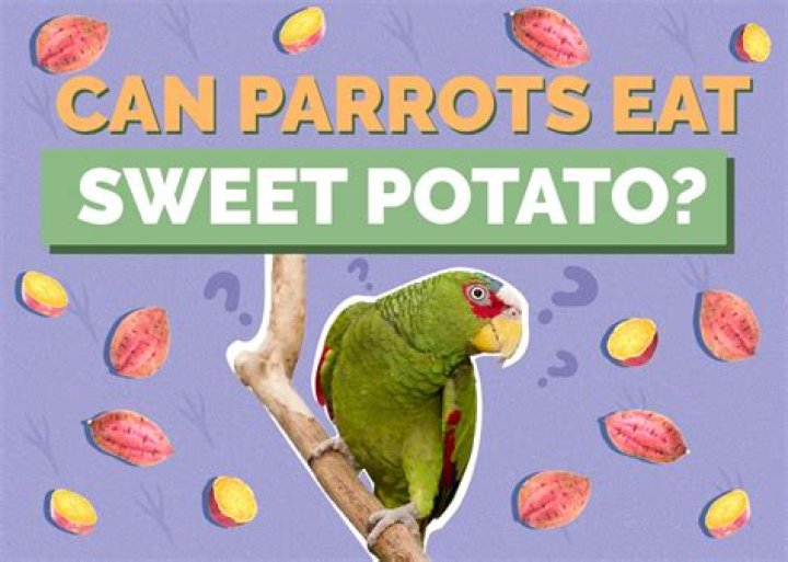 Is Potato good for parrots?