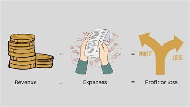 Is profit income less expenses?