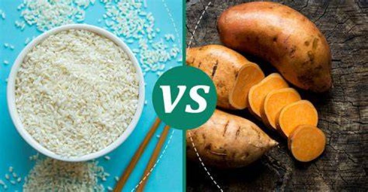 Is rice or sweet potato better for dogs?