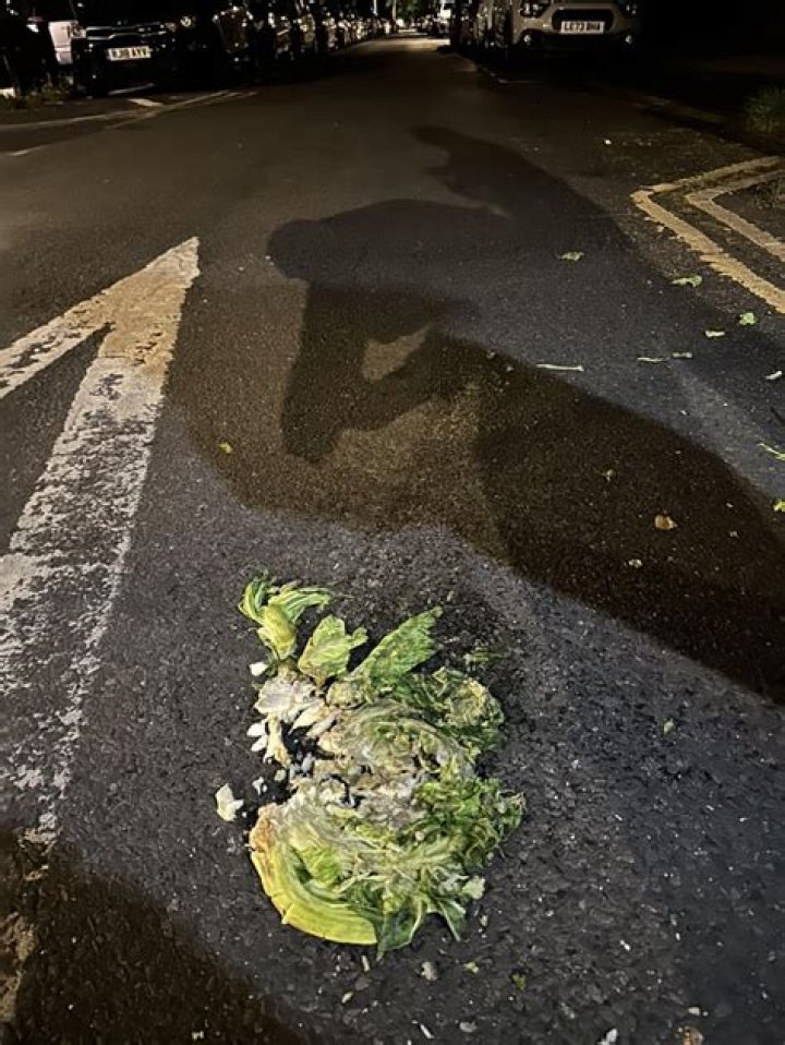 Is Roadkill vegan?