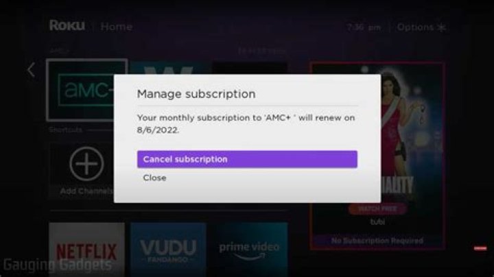 Is Roku a subscription service?