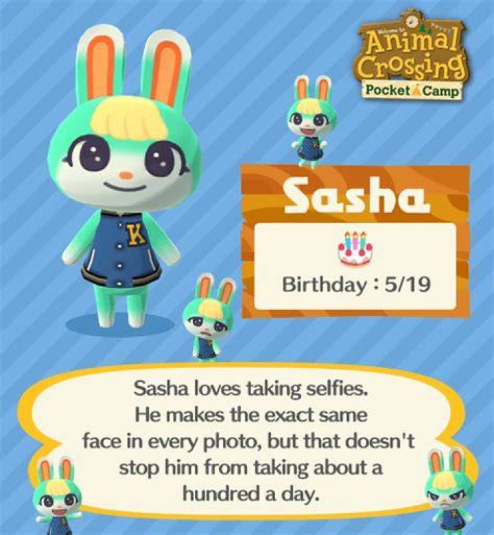 Is Sasha a boy ACNH?