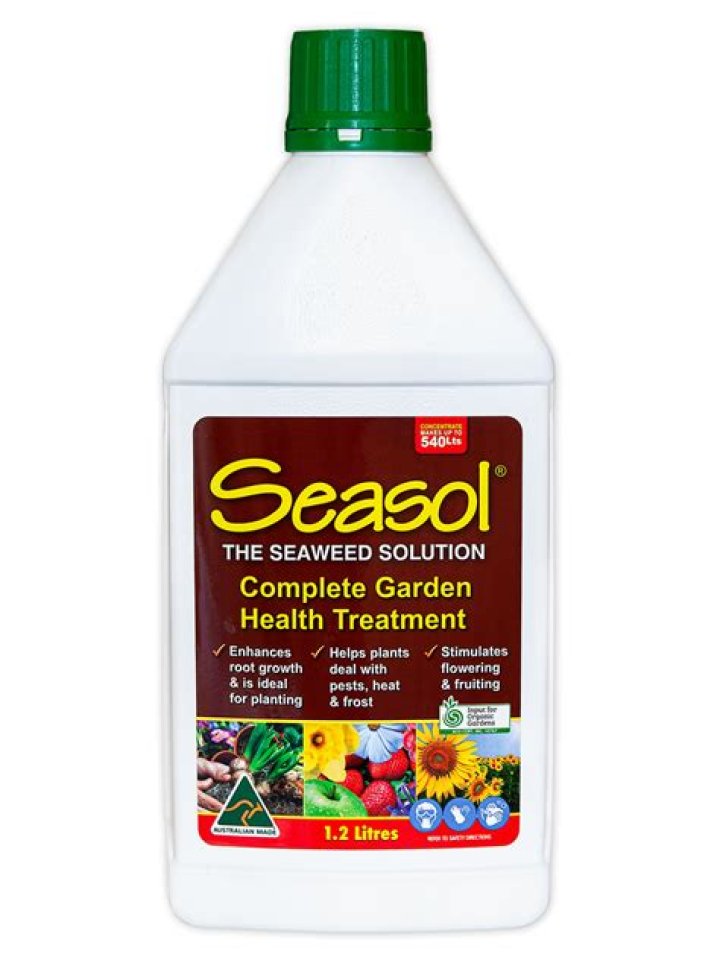 Is Seasol good for palm trees?