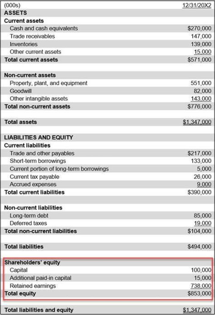 Is shareholders loans equity or liability?