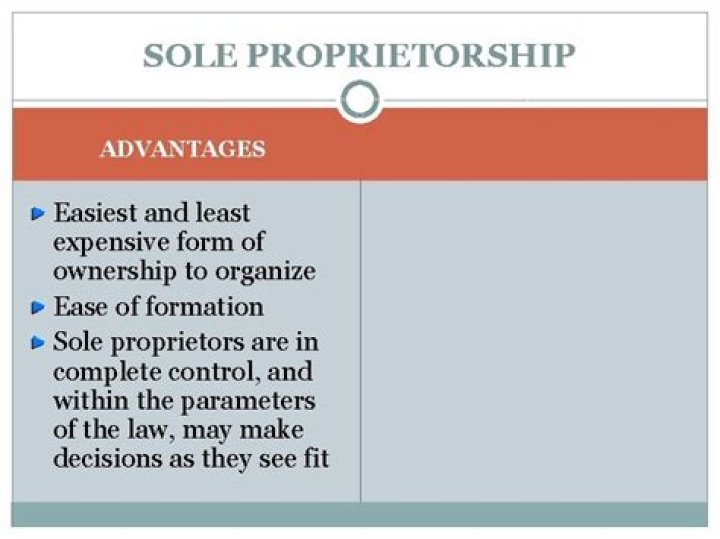 Is sole proprietorship The least expensive?