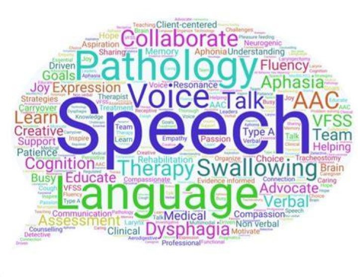 Is speech and language a related service?