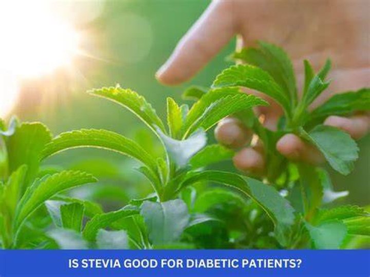 Is stevia good for Diabetes?