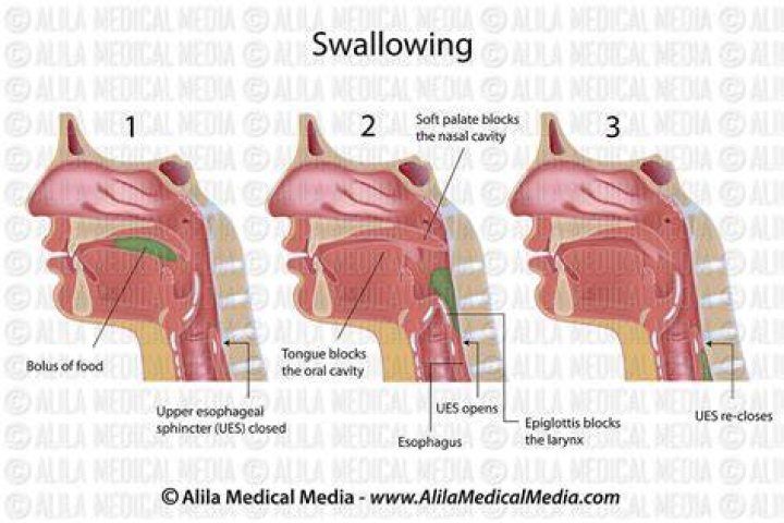 Is swallowing pus harmful?