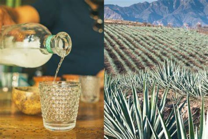 Is tequila made from potatoes?