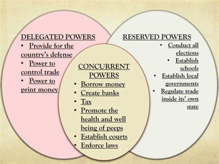 Is the power to borrow money is delegated reserved or shared?