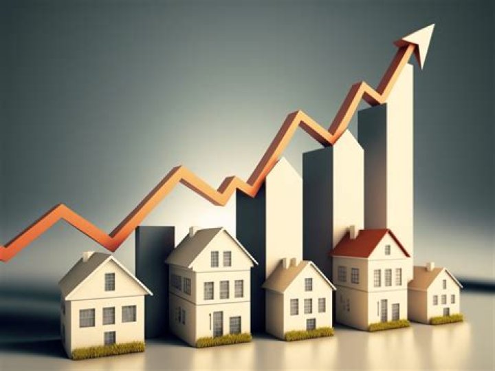 Is the rental market going to increase in 2021?