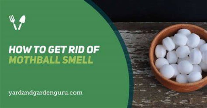 Is the smell of mothballs harmful?