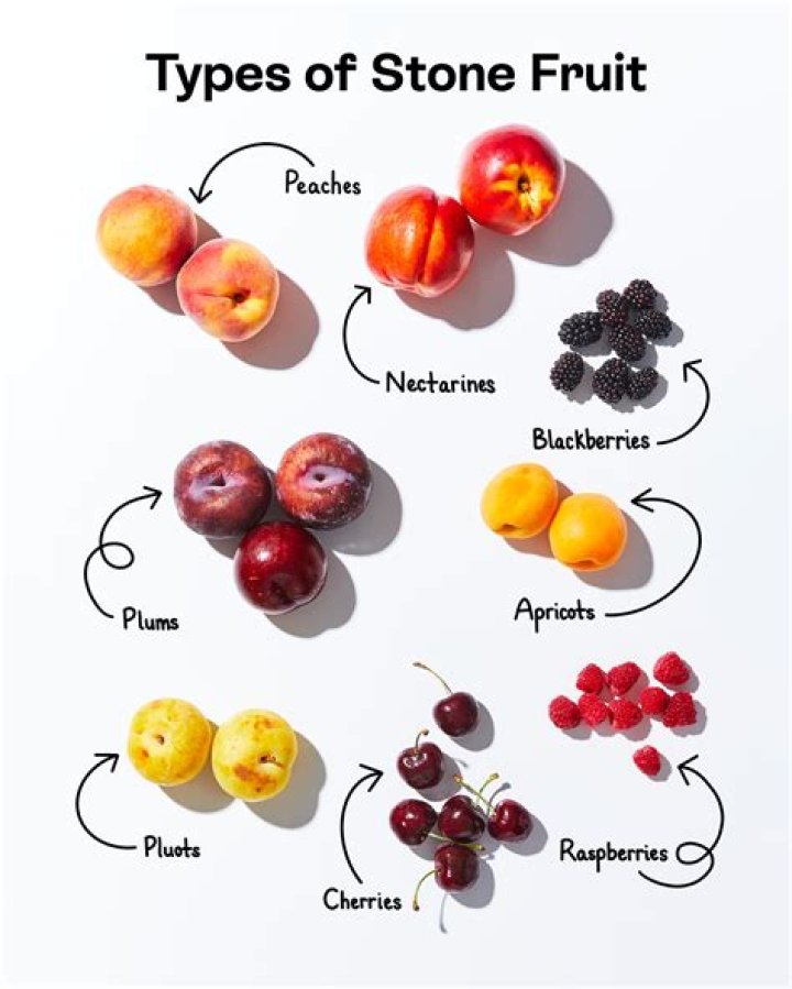Is the stone stone fruit a Logia?