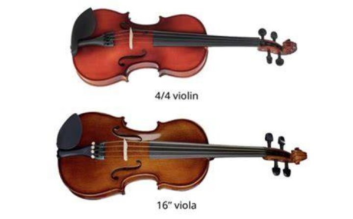 Is the viola an orchestral instrument?