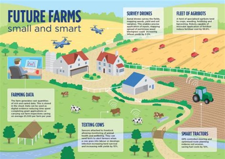 Is there a future for small farms?