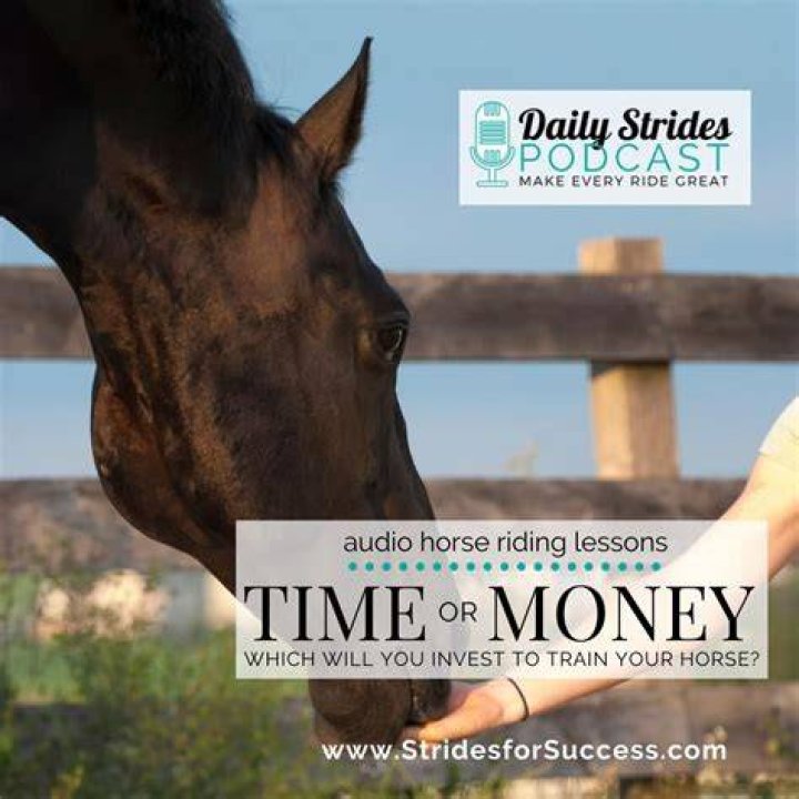 Is there money in horse training?