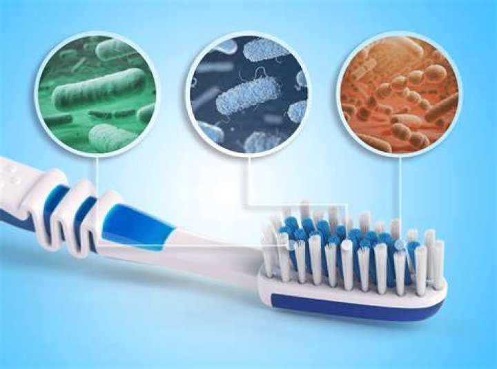 Is there poop particles on your toothbrush?