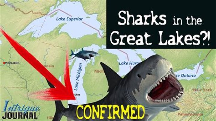 Is there sharks in Great Lakes?