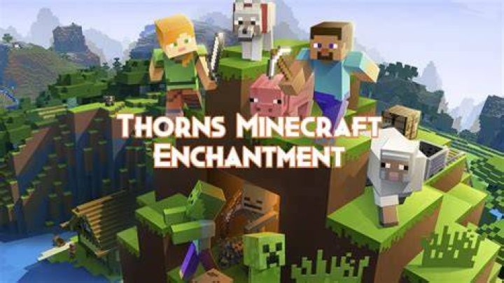 Is thorns a good enchantment?
