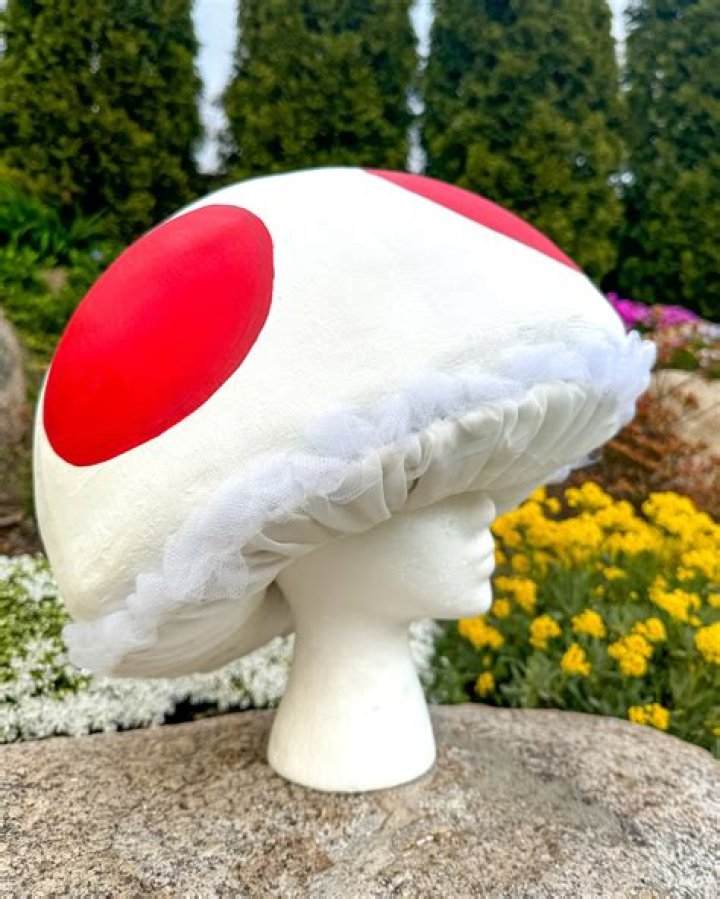Is Toad a mushroom or is it a hat?