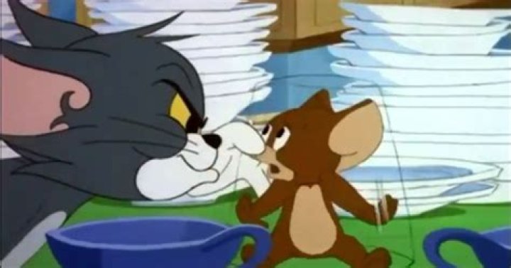 Is Tom and Jerry the longest running cartoon?