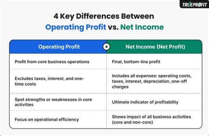 Is total income the same as profit?