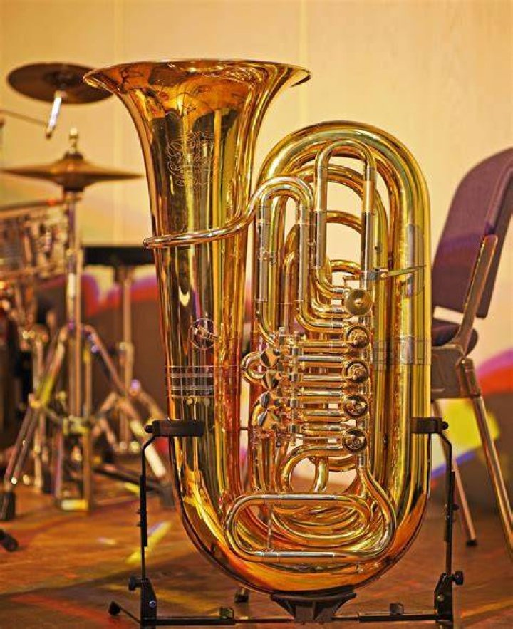 Is tuba an endangered instrument?