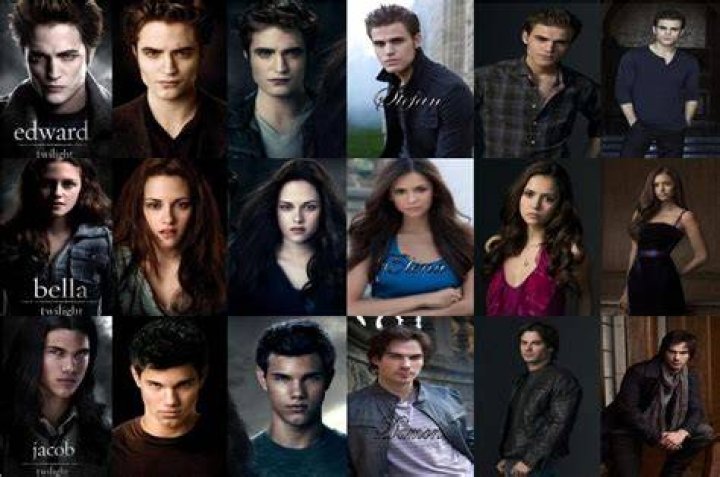 Is TVD based on Twilight?
