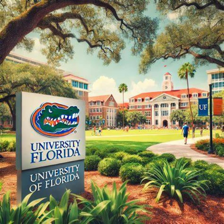 Is UF or UM better?
