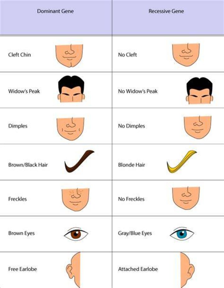 Is unibrow dominant or recessive?