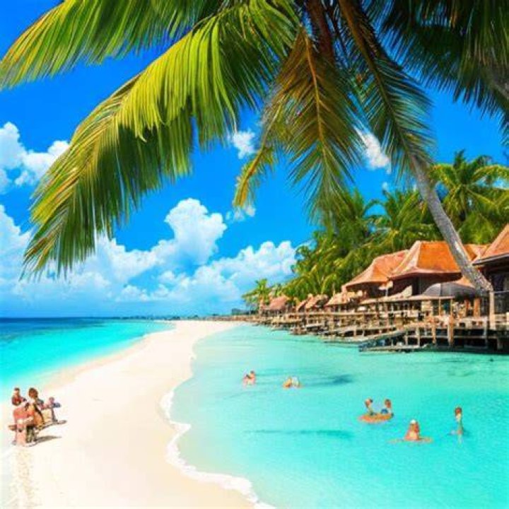 Is vacation an asset?