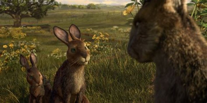 Is Watership Down film on Netflix?