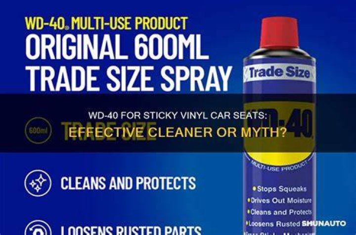 Is WD-40 good for leather car seats?