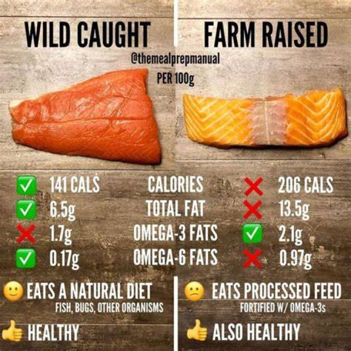 Is wild caught salmon healthy?