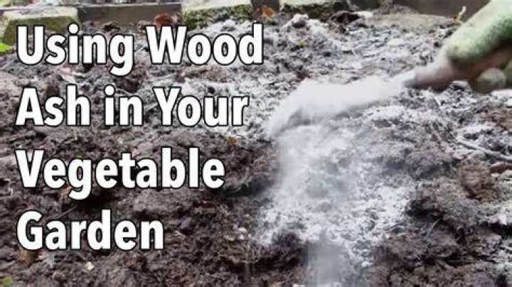 Is wood ash good for a vegetable garden?