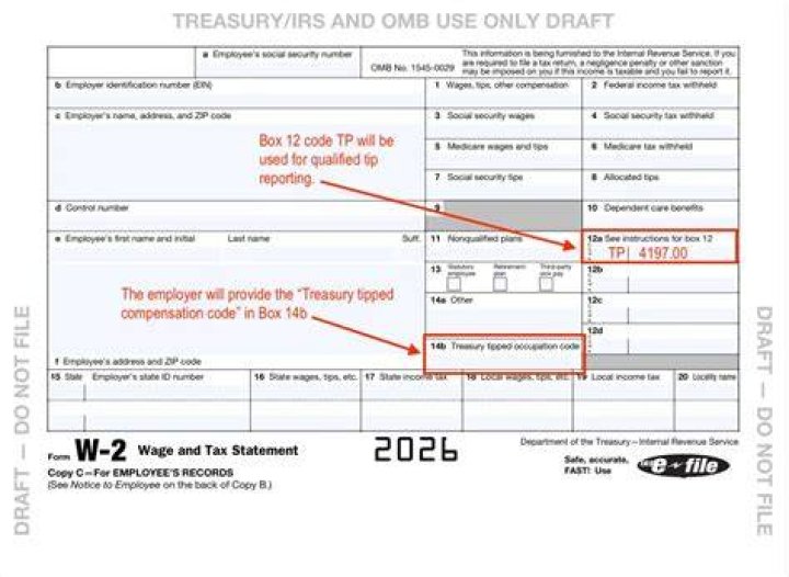 Is Workers Comp reported on W-2?