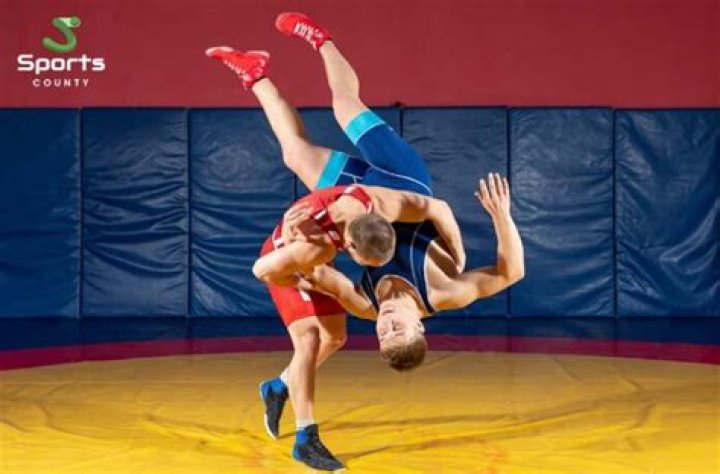 Is wrestling the hardest sport?