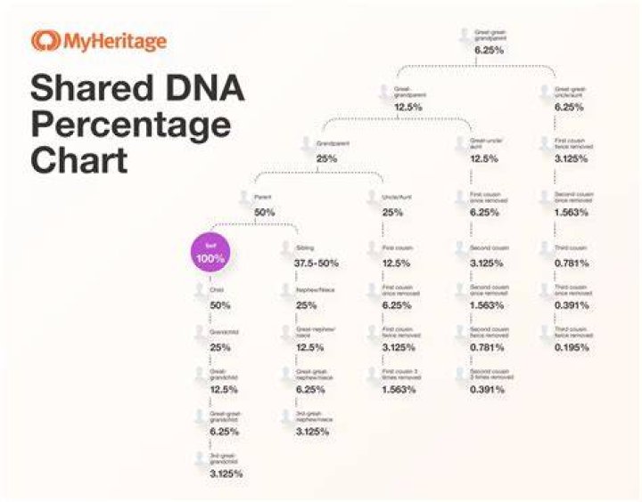 Is your DNA 50/50 from your parents?
