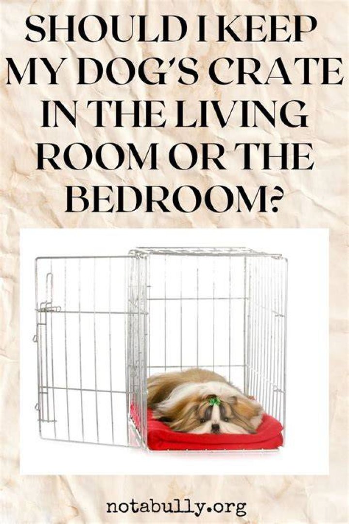 Should a puppy be confined to one room?