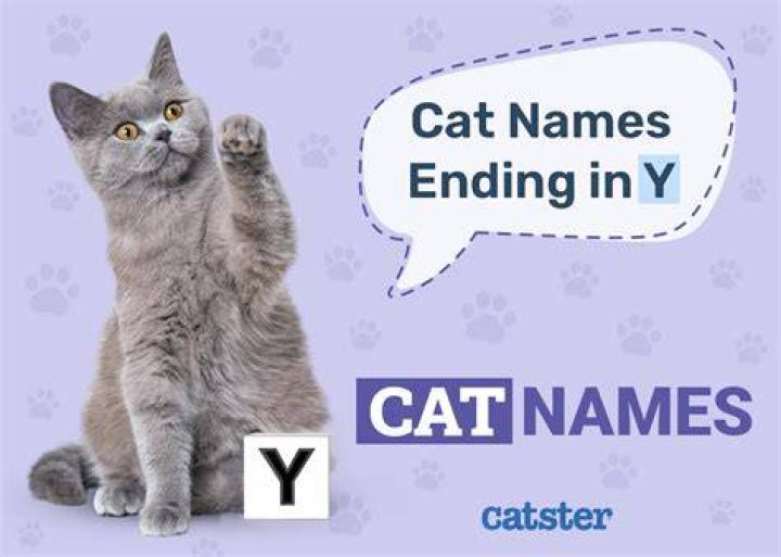 Should cat names end in Y?