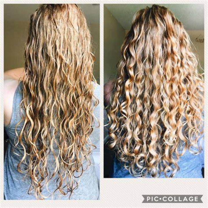 Should curly hair be cut dry or wet?