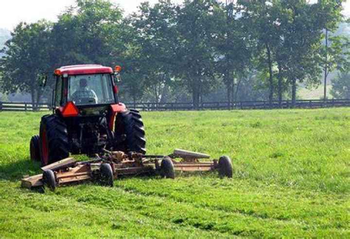 Should horse pasture be mowed?