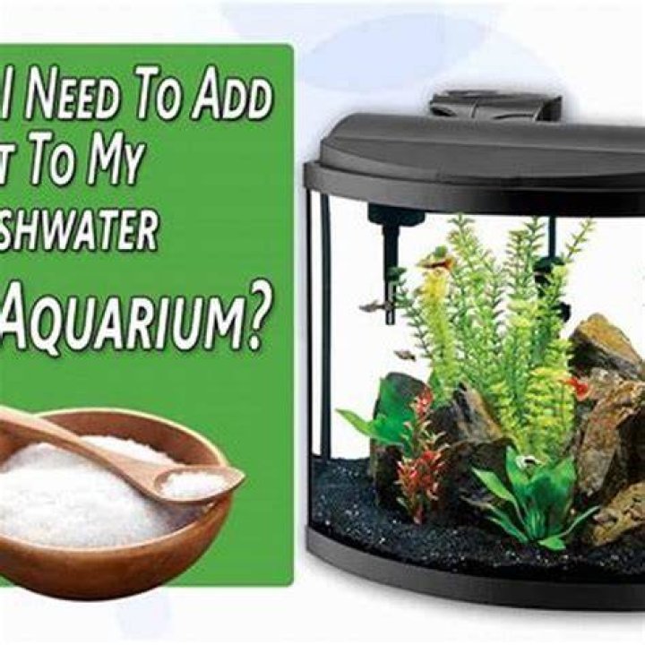 Should I add salt to my freshwater aquarium?