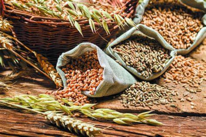 Should I avoid grains?
