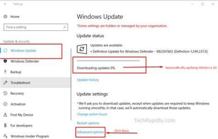 Should I disable Windows Update?