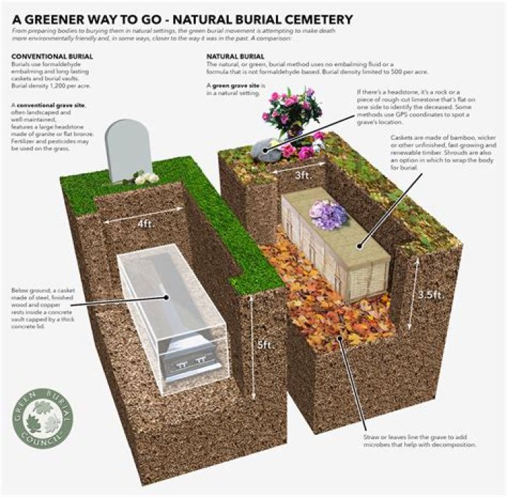 Should I get buried or cremated?