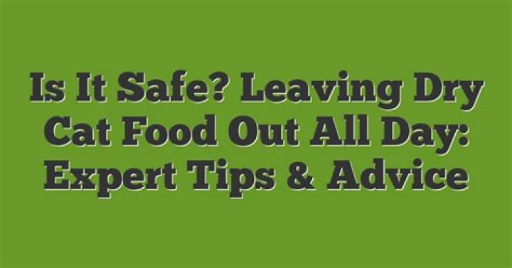 Should I leave dry food out for my cat all day?