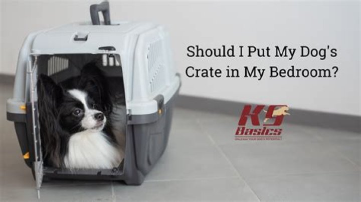 Should I leave water in my dog's crate during the day?